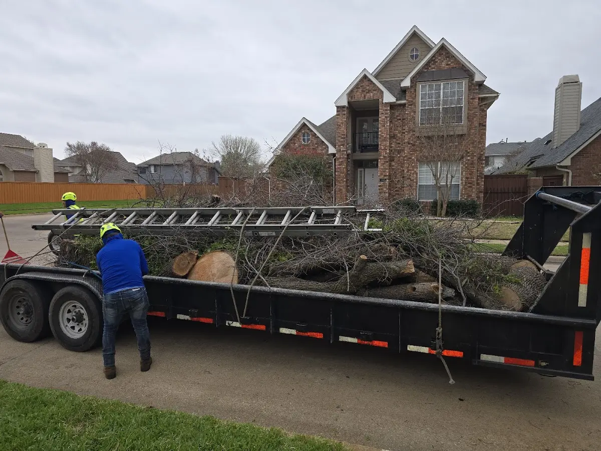 Expert Tree Fertilization with proper safety equipment in Bolivar